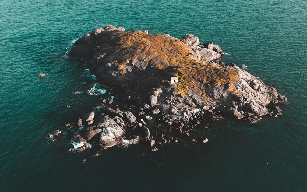Workflow Automation for Remote Teams
